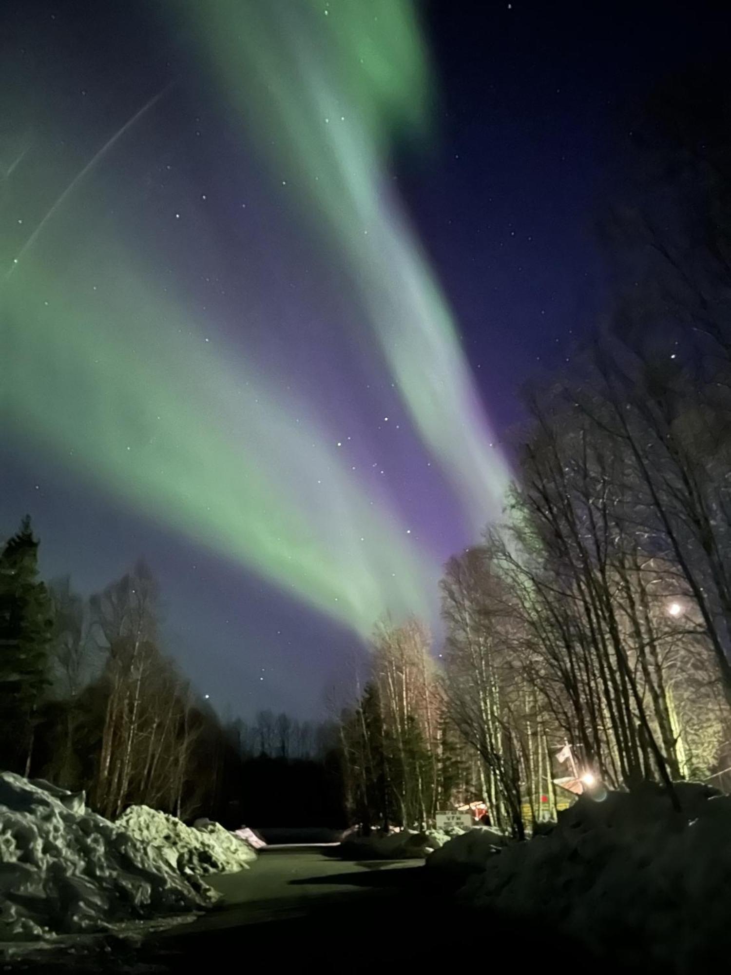 talkeetna villas&tours Exteriör bild