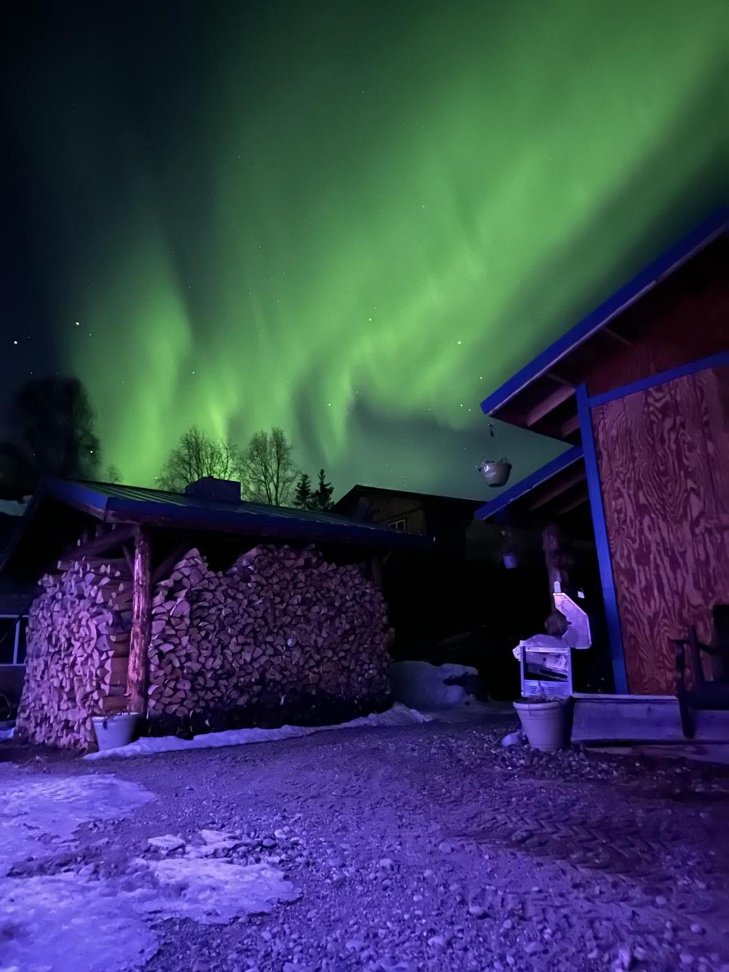 talkeetna villas&tours Exteriör bild